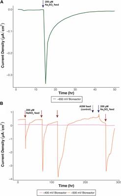 Differences in Applied Redox Potential on Cathodes Enrich for Diverse Electrochemically Active Microbial Isolates From a Marine Sediment